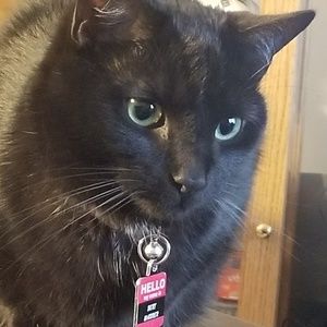 Meet your Posher, Neal